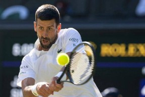 开云体育官网-德约科维奇41拍神仙球