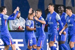 开云体育App-历届上海申花队队员名单